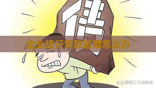 企业建行贷款逾期怎么办