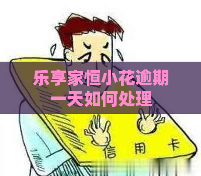 乐享家恒小花逾期一天如何处理