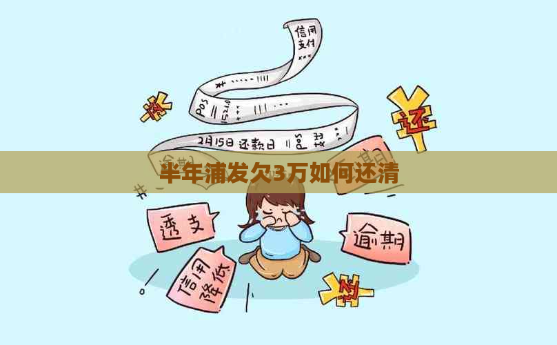 半年浦发欠3万如何还清