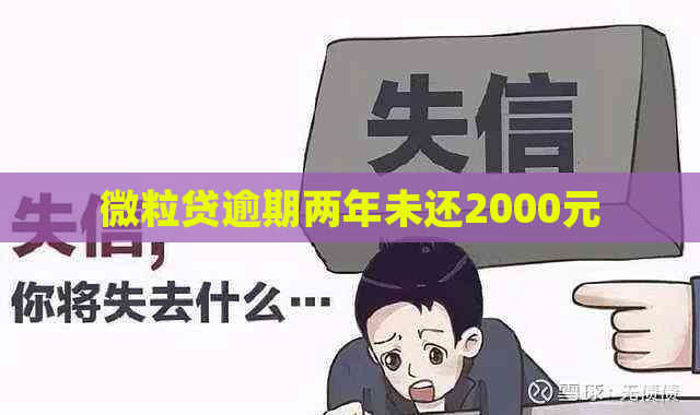 微粒贷逾期两年未还2000元