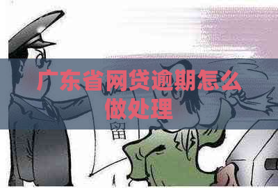 广东省网贷逾期怎么做处理