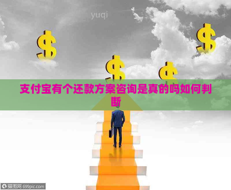 支付宝有个还款方案咨询是真的吗如何判断