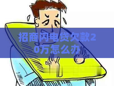 招商闪电贷欠款20万怎么办