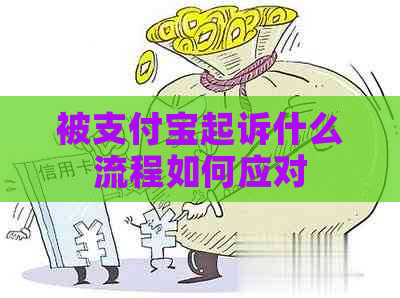 被支付宝起诉什么流程如何应对