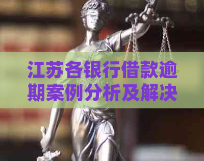 江苏各银行借款逾期案例分析及解决方法