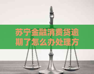 苏宁金融消费贷逾期了怎么办处理方式