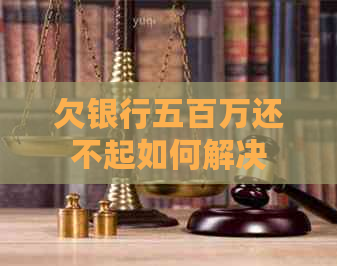 欠银行五百万还不起如何解决