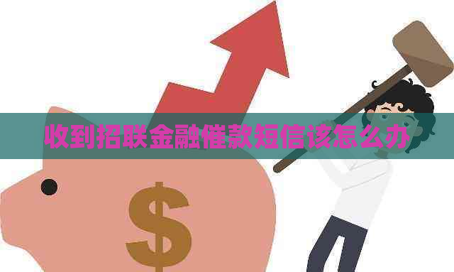 收到招联金融催款短信该怎么办