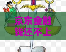 京东金融钱还不上怎么办为