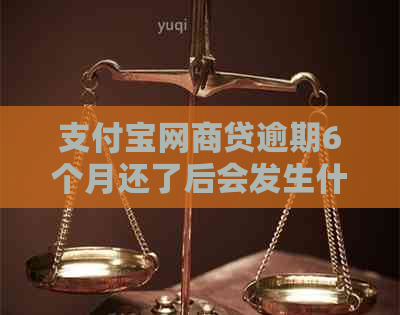 支付宝网商贷逾期6个月还了后会发生什么