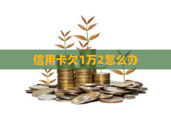 信用卡欠1万2怎么办