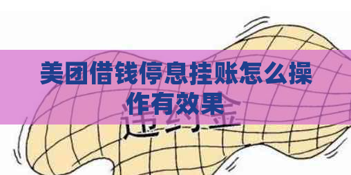 美团借钱停息挂账怎么操作有效果