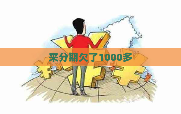 来分期欠了1000多