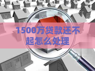 1500万贷款还不起怎么处理