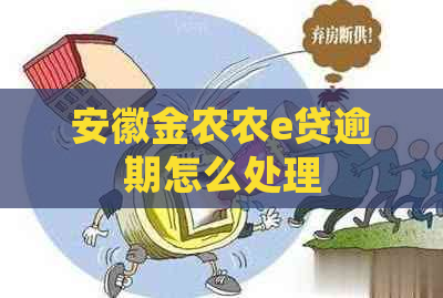 安徽金农农e贷逾期怎么处理