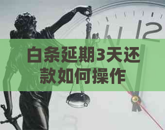 白条延期3天还款如何操作