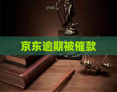 京东逾期被催款