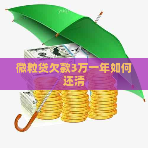 微粒贷欠款3万一年如何还清