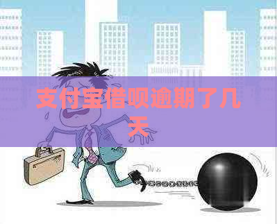 支付宝借呗逾期了几天