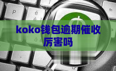 koko钱包逾期厉害吗