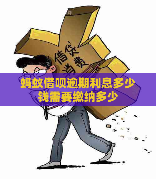 蚂蚁借呗逾期利息多少钱需要缴纳多少