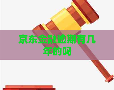 京东金融逾期有几年的吗