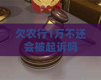 欠农行1万不还会被起诉吗