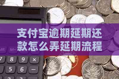 支付宝逾期延期还款怎么弄延期流程解析