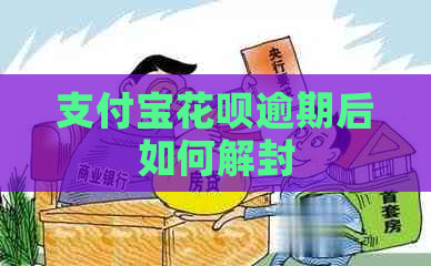 支付宝花呗逾期后如何解封