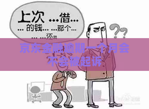 京东金融逾期一个月会不会被起诉