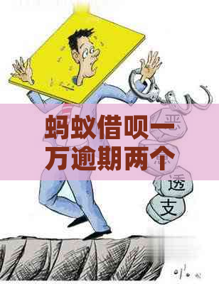 蚂蚁借呗一万逾期两个月怎么办