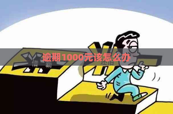 逾期1000元该怎么办