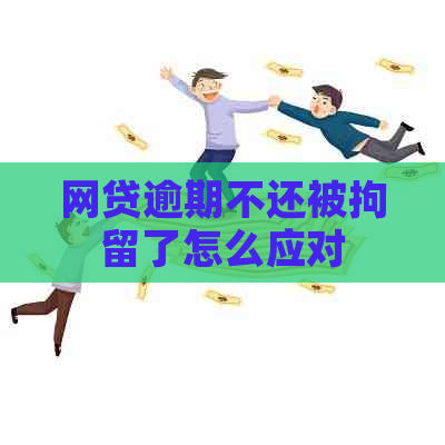 网贷逾期不还被拘留了怎么应对