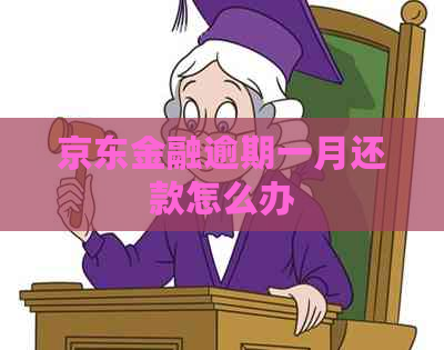 京东金融逾期一月还款怎么办