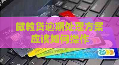 微粒贷逾期处理方案应该如何操作