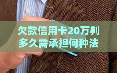 欠款信用卡20万判多久需承担何种法律责任