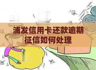 浦发信用卡还款逾期如何处理