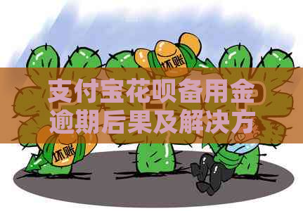 支付宝花呗备用金逾期后果及解决方法