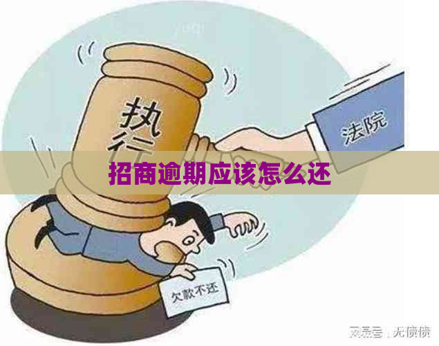 招商逾期应该怎么还