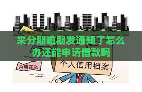 来分期逾期发通知了怎么办还能申请借款吗