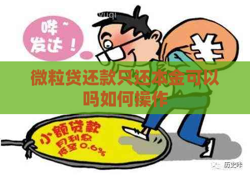 微粒贷还款只还本金可以吗如何操作