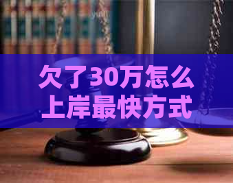 欠了30万怎么上岸最快方式