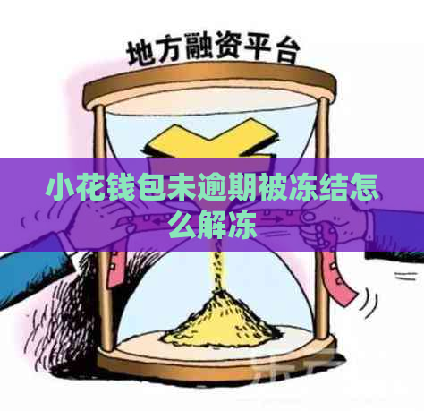 小花钱包未逾期被冻结怎么解冻