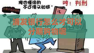 浦发银行怎么才可以分期购物呢