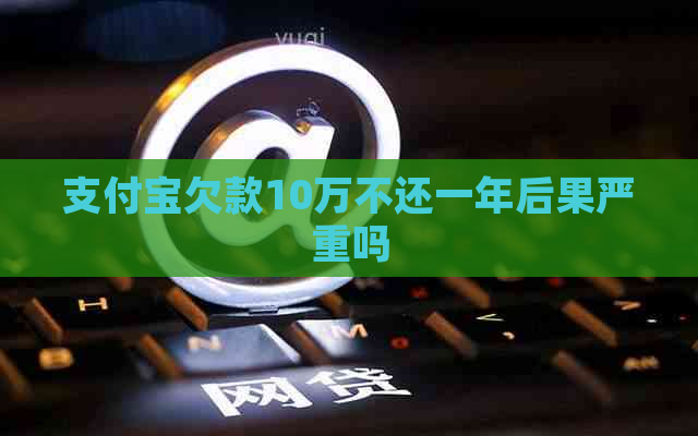 支付宝欠款10万不还一年后果严重吗