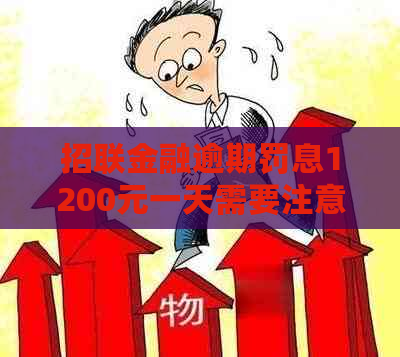 招联金融逾期罚息1200元一天需要注意什么