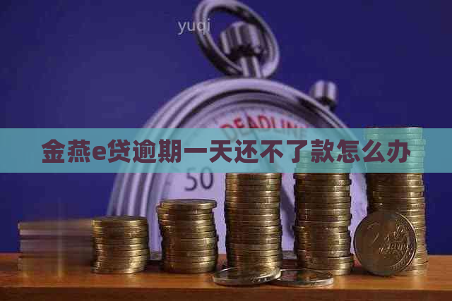 金燕e贷逾期一天还不了款怎么办