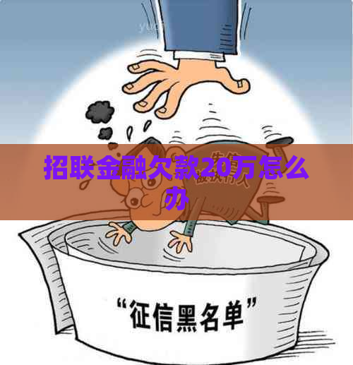 招联金融欠款20万怎么办