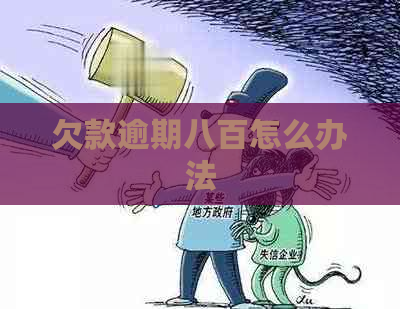 欠款逾期八百怎么办法