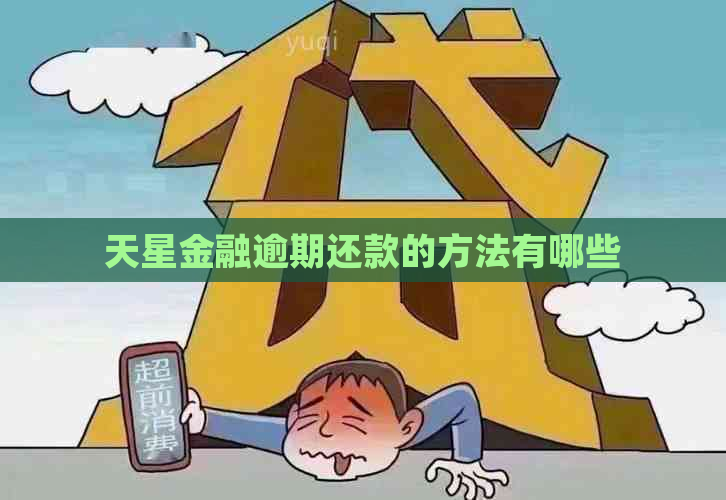 天星金融逾期还款的方法有哪些